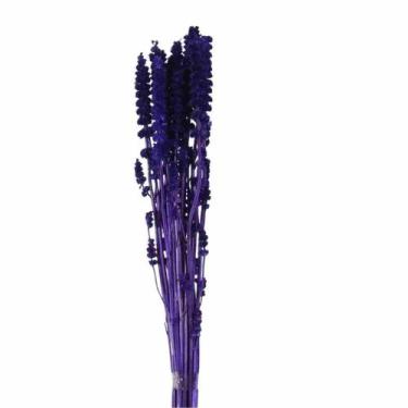 Imagem de Rubi Roxo Desidratado - Pense Flores