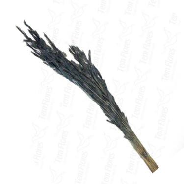 Imagem de Capim Trigão Flor Desidratada Buque Flores Secas - Pense Flores, Azul