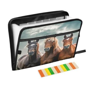 Imagem de Wassud Organizador de arquivos de acordeão Waiting Horses Carta A4 pastas de arquivo de papel organizador de documentos com etiquetas pasta de arquivo expansível 13 bolsos