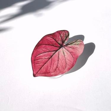 Imagem de Generic Suporte de telefone Plant | Suporte de telefone Leaf | Suportes de telefone com folhas de filodendro, suporte de telefone expansível dobrável multifuncional, compatível com todos os