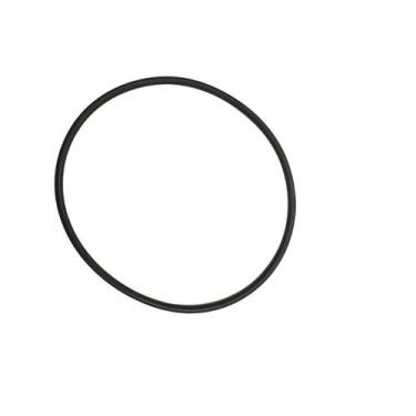 Imagem de Dancor Anel Oring Borracha de Vedação Tampa Visor PF 22 1,5cv à 3cv