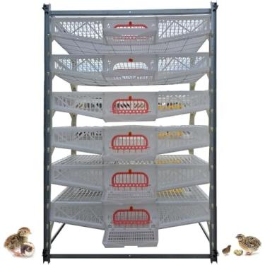 Imagem de Caixa Da Gaiola Da Criação De Codornizes Das Codornizes De 6 Camadas Grande Com Calha E Alimentador Da água, Codornizes 60-70 Cada Camada, Quadro Resistente Automático Do Meta, White