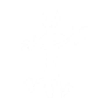 Imagem de Adesivo Para Motocicleta Coyote Crash, Adesivos Impermeáveis para Carr