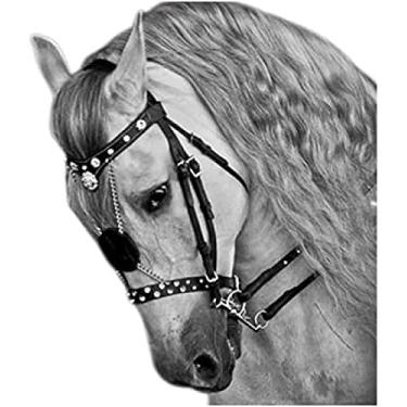 Imagem de Freio De Cavalo Com Rédea - Freio De Cavalo Equestre - Freio De Cavalo Ajustável Gola De Cabeça Acessórios Equestre Cabresto De Cavalo Acessórios De Sela Freios Para Cavalos,Collector88