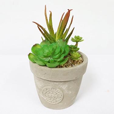 Imagem de Puleo International Planta suculentas artificiais em vaso de 12,7 cm (5