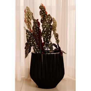 Imagem de Kit 3 Bacias Grandes Para Plantas Vaso Escovado Jardim N3