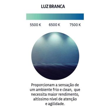 Imagem de Lampada High Led Manplex 100w E-40 6500k 100w