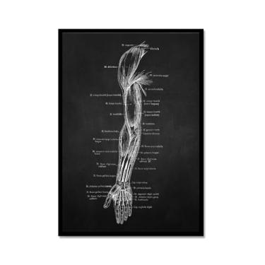 Imagem de Fundo preto anatomia humana arte médica impressões em tela imagens esqueleto músculo pôster vintage educação pintura arte decoração de parede (SKU3,12x40,6 cm = (30x40 cm), moldura de metal preto)