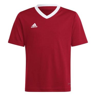 Imagem de Camiseta Adidas Entrada 22 Infantil