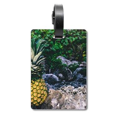 Imagem de Folha de abacaxi, imagem de plantas, bolsa de mala, etiqueta para bagagem, cartão de armazenamento, etiqueta para pendurar