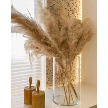 Imagem de Kit 5 Haste Pluma Natural Para Decoração Capim Dos Pampas - FLORA FULL