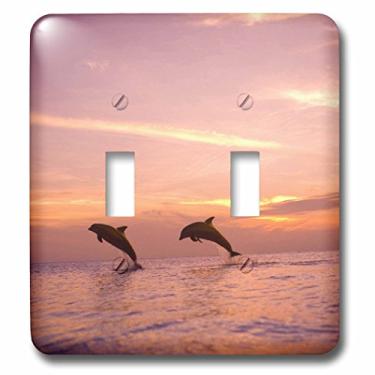 Imagem de 3dRose lsp_86567_2 Bottlenose Dolphins Roatan Honduras Sa12 Swe0008 Stuart Westmorland Interruptor duplo