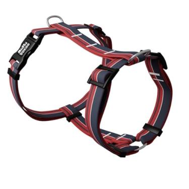 Imagem de Peitoral H Premium com Guia para Cachorro, Ajustável (P, Long Line)