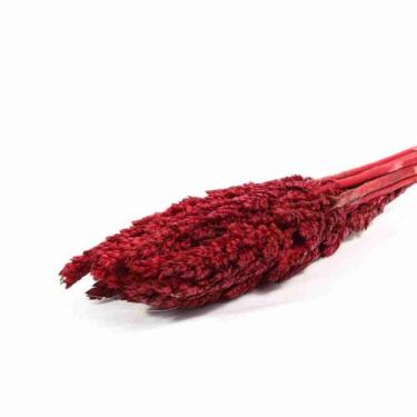 Imagem de Planta Seca Sorgo Vermelho - Pense Flores