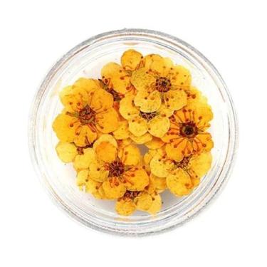 Imagem de Flores Secas Prensadas De Narciso E Flor De Ameixa 20pçs Para Resina E