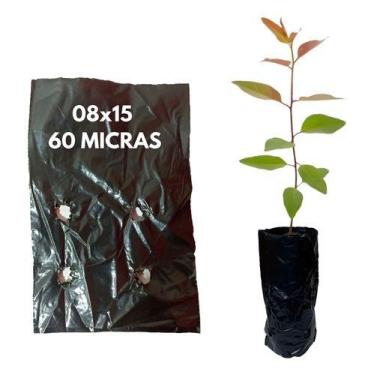 Imagem de Saco Saquinho Plástico Para Mudas Preto 8x15cm 1000 Unidades - Sem Mar