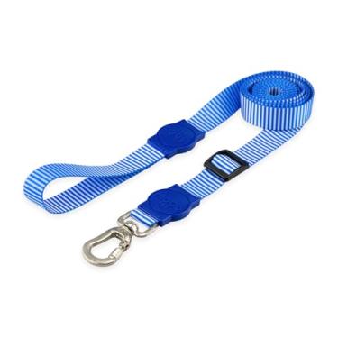 Imagem de Mood Pet Coleira Guia Retrátil Para Cães Cachorro Adestramento Passeio Porte Grande Médio Pequeno (Jetty, G)