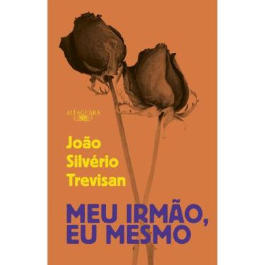 Imagem de Livro - Meu irmão, eu mesmo - Alfaguara