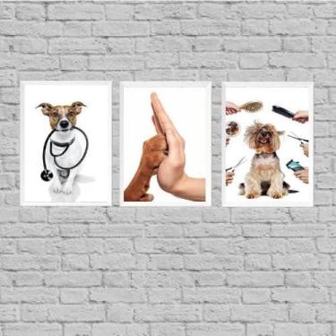 Imagem de Kit 3 Quadros Para Clínica Veterinária 45X34Cm - Quadros On-Line