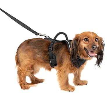 Imagem de PetSafe Peitoral para cães EasySport, peitoral acolchoado ajustável para cães com alça de controle e tubulação refletiva, dos fabricantes do arnês Easy Walk