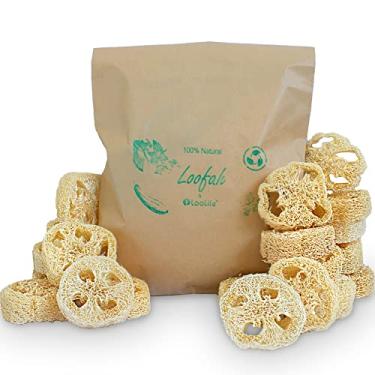 Imagem de Loofah 100% natural para fabricação de sabonete (pacote com 20) – fatias de lofah – Kit de esponja – produtos de fabricação de sabonete orgânico – esponja de café natural – Loofah Natural – sabonete de lofah