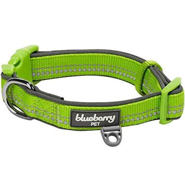 Imagem de (Small, Padded - Green with 3M Reflective Ribbon) - Blueberry Pet Soft & Comfy 3M Reflective Pastel Colour Padded Dog Collar, Matching Leash & Harness Available Separately