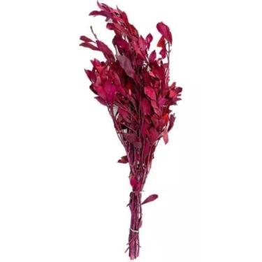 Imagem de Buque Folhagem Carne De Vaca Vinho Decoração Desidratado Lar - FLORA F