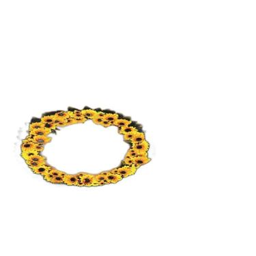 Imagem de Fundo Fotográfico Em Tecido Guirlanda 2,60X1,50