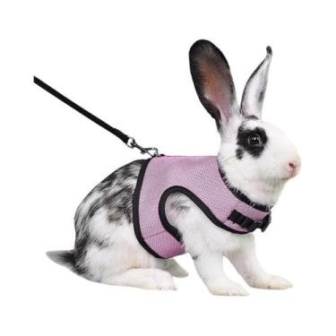 Imagem de Colete Respirável Multicolorido Com Arnês Ajustável E Conjunto De Guia