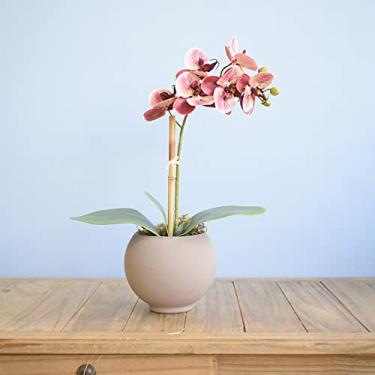 Imagem de Arranjo de Flor Artificial Orquídea Coral no Vaso de Vidro Fendi Fosco | Linha Permanente Formosinha