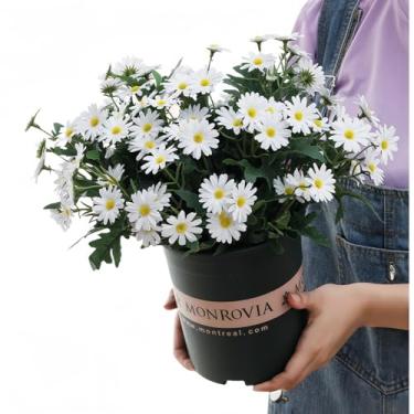 Imagem de XIZHI 5 peças de margaridas artificiais, buquês de margaridas artificiais, flores de seda artificial, decoração de estilo pastoral para decoração de casa, mesa, jardim, janela, casamento (branco)