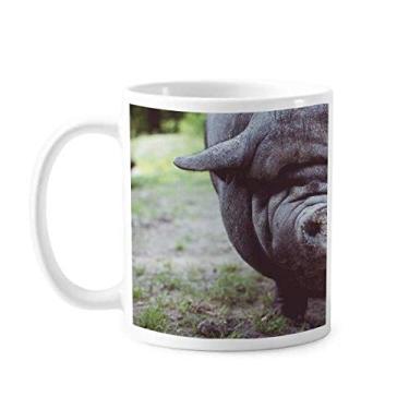 Imagem de Caneca de cerâmica para fotografia de animais selvagens com organismos terrestres e cerâmica para café e porcelana