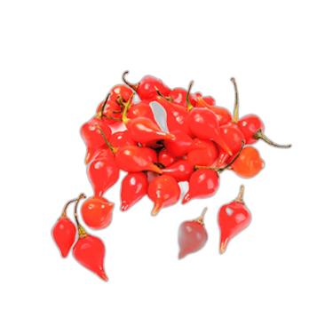 Imagem de Sementes de Hortaliças, Variedades Diversas, Monte seu Kit Personalizado (Pimenta Biquinho Vermelha 10 Sementes)