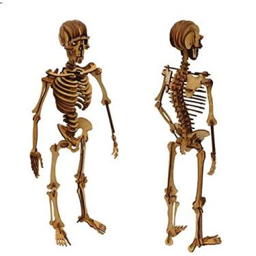 Imagem de Esqueleto Humano Quebra-Cabeça 3 D Brinquedo Educativo