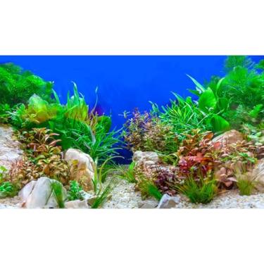 Imagem de Plantas Aquáticas Verdes Subaquáticas Fundo de Aquário Submarino Grama Pedra Pedra Sandbed Fundo de Tanque de Peixes Verde Roxo Erga Marinha Sobre Fundo Azul Fundo de Aquário Réptil Tanque Papel de