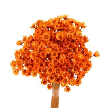 Imagem de Sempre Viva Laranja p/ Decoração - Tem Flores