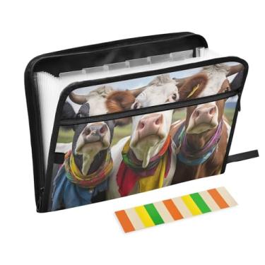 Imagem de Wassud Pasta organizadora de arquivos de papel A4 de três vacas com etiquetas e pasta de arquivo expansível com 13 bolsos