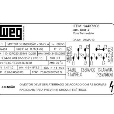Imagem de Motor Weg Monofásico 1 cv 110/220v Para Bomba De Piscinas