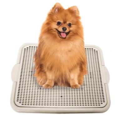 Imagem de Sanitário Tapete Higiênico Banheiro Educador Canino Xixi Dog + mordedo