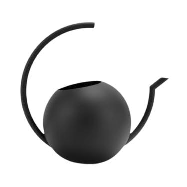 Imagem de Bothyi Regador interno para vasos de plantas, garrafa de aço inoxidável, jarro de água de 1 litro, bico longo, vaso para flores, peitoril da janela, bonsai,