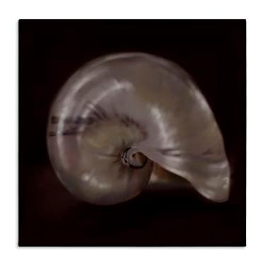 Imagem de Stupell Industries Arte de parede em tela Seashell Treasure of Sea, design de Mary Sparrow, 43 x 43 cm