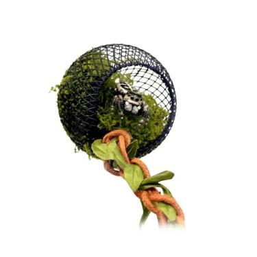 Imagem de Esconde de aranha puladora magnética – Lâmpada de metal de 5 cm com trepadeira de 30 cm e musgo natural macio – Decoração de invólucro arbóreo para terrários Phidippus Audax e Regius