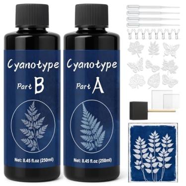 Imagem de 1DFAUL Kit de solução de cianotipo, cianótipo líquido de 500 ml pré-misturado e sem necessidade de água, impressão solar cria arte azul vintage, plantas fotográficas, para impressão da natureza
