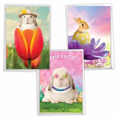 Imagem de NobleWorks Pacote sortido de 3 cartões de felicitações de Páscoa engraçados com envelopes (3 modelos, 1 cada) coelhos de força de flores VC10394EAG-C1x3