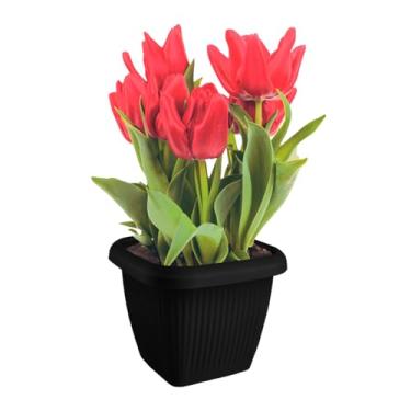 Imagem de Vaso De Plantas Design Moderno Decoração 1,7L em Polipropileno (Preto)