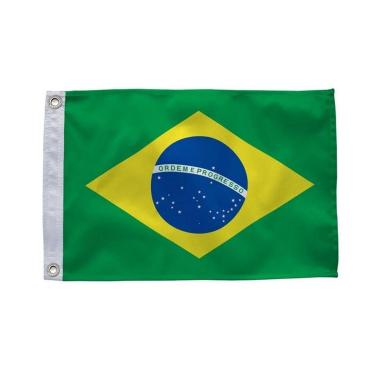 Imagem de Bandeira Oficial Do Brasil 45x65cm Dupla Face 1 Panos-Unissex