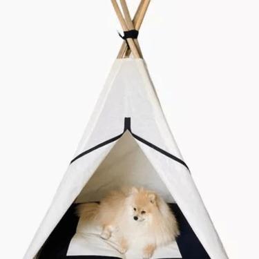 Imagem de Caminha cabaninha pet cães e gatos + tapete 105x60x60cm