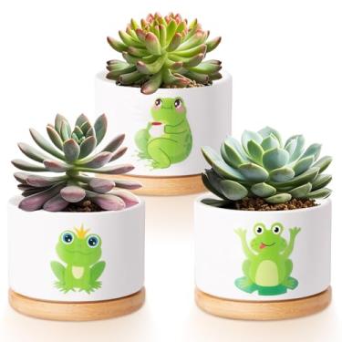 Imagem de Vesici 3 vasos de suculentas de sapo com drenagem e bandeja de bambu, pequenos vasos de suculentas de cerâmica para mini plantas, cacto, animal, planta, vaso para escritório, decoração de casa