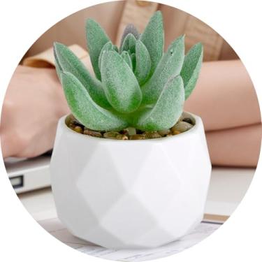Imagem de Plantas suculentas artificiais falsas para mesa, suculentas falsas realistas em vasos de plástico, mini decoração de suculentas coloridas para quarto, banheiro, escritório, prateleira (verde B)