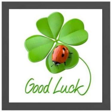 Imagem de Quadro Quadrado Joaninha Boa Sorte 20X20Cm